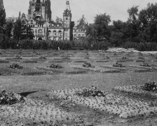 Hanover: Flowers on the individual graves in the Cemetery of Honour at Maschsee, May 1945. Source: Russian State Archive for Social and Political History, files 2090, inventory 7M, index 1